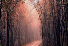 开云体育:杨旭谈青训:中国足球不能只盯着山峰的高度,更要关注草原的宽度.