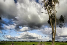 国足新一期名单:U20小将王钰栋入选 侯永永在列.