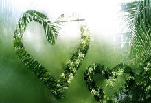 [图]英超-帕尔默造两球 切尔西2-1纽卡终结2轮不胜.