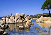 记者:哈维-阿隆索预计下赛季会留药厂,皇马将他视作安帅接班人.